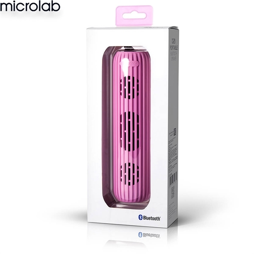 Loa Microlab D21 11